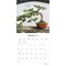 Mindful Living | 2024 12 x 24 Inch Monthly Square Wall Calendar | Brush Dance | Art Quotes Photography Inspiration